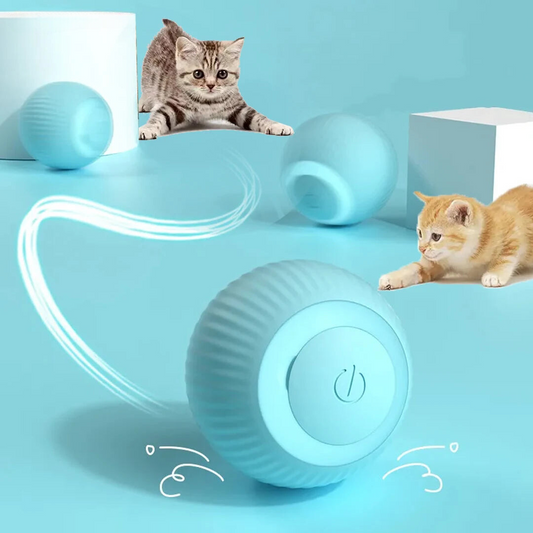 Smart Cat Ball