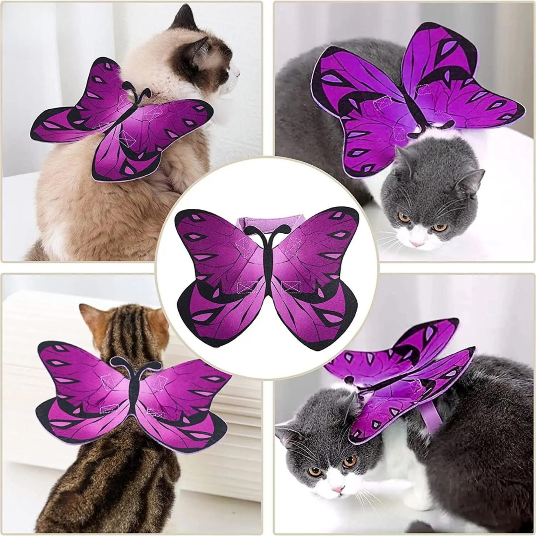 Enchanting Butterfly Wings