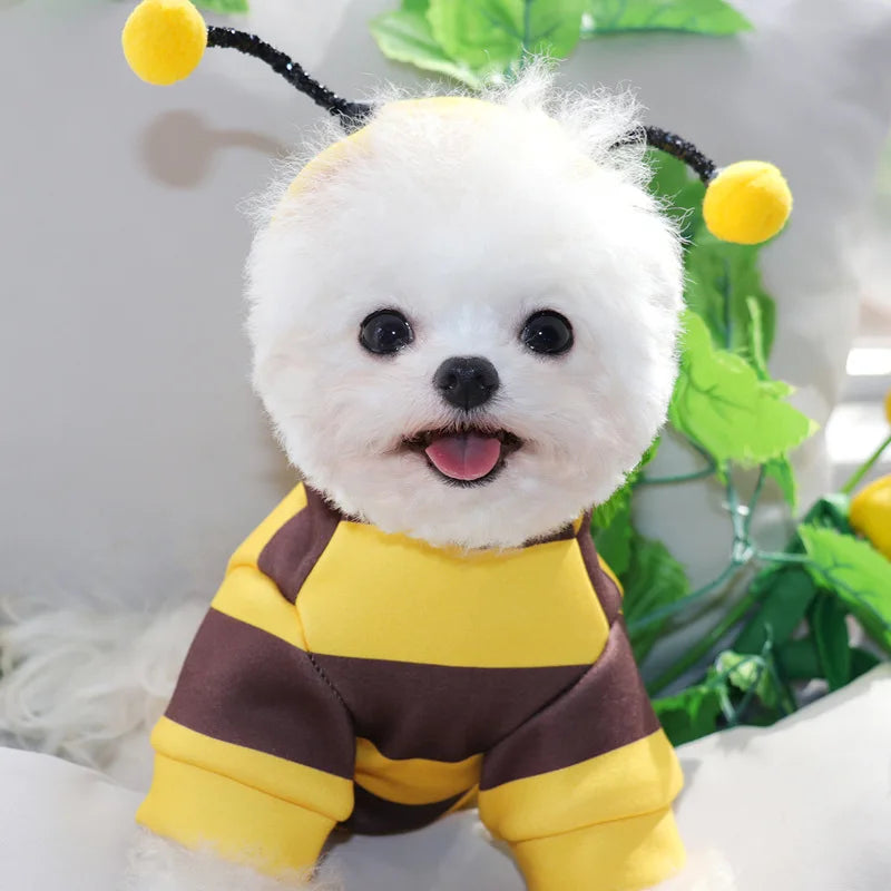 Boo-tiful Bumlebee Pet Hoodie