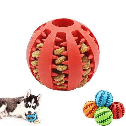 Interactive Chew Ball Toy