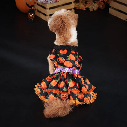 Pumpkin Lace Halloween Pet Dress