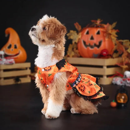 Pumpkin Lace Halloween Pet Dress