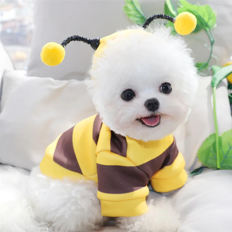 Boo-tiful Bumlebee Pet Hoodie