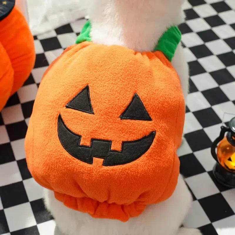 Pumpkin Lantern Pet Costume