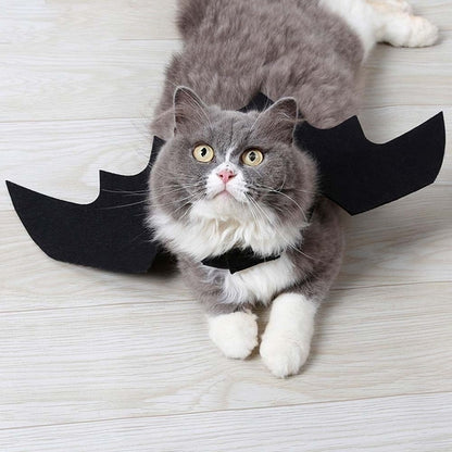 Bat Wings Pet Costume