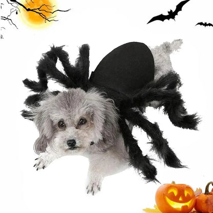 Creepy Crawly Spider Costume