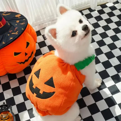 Pumpkin Lantern Pet Costume