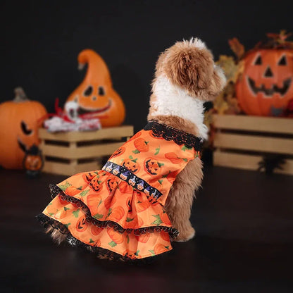 Pumpkin Lace Halloween Pet Dress