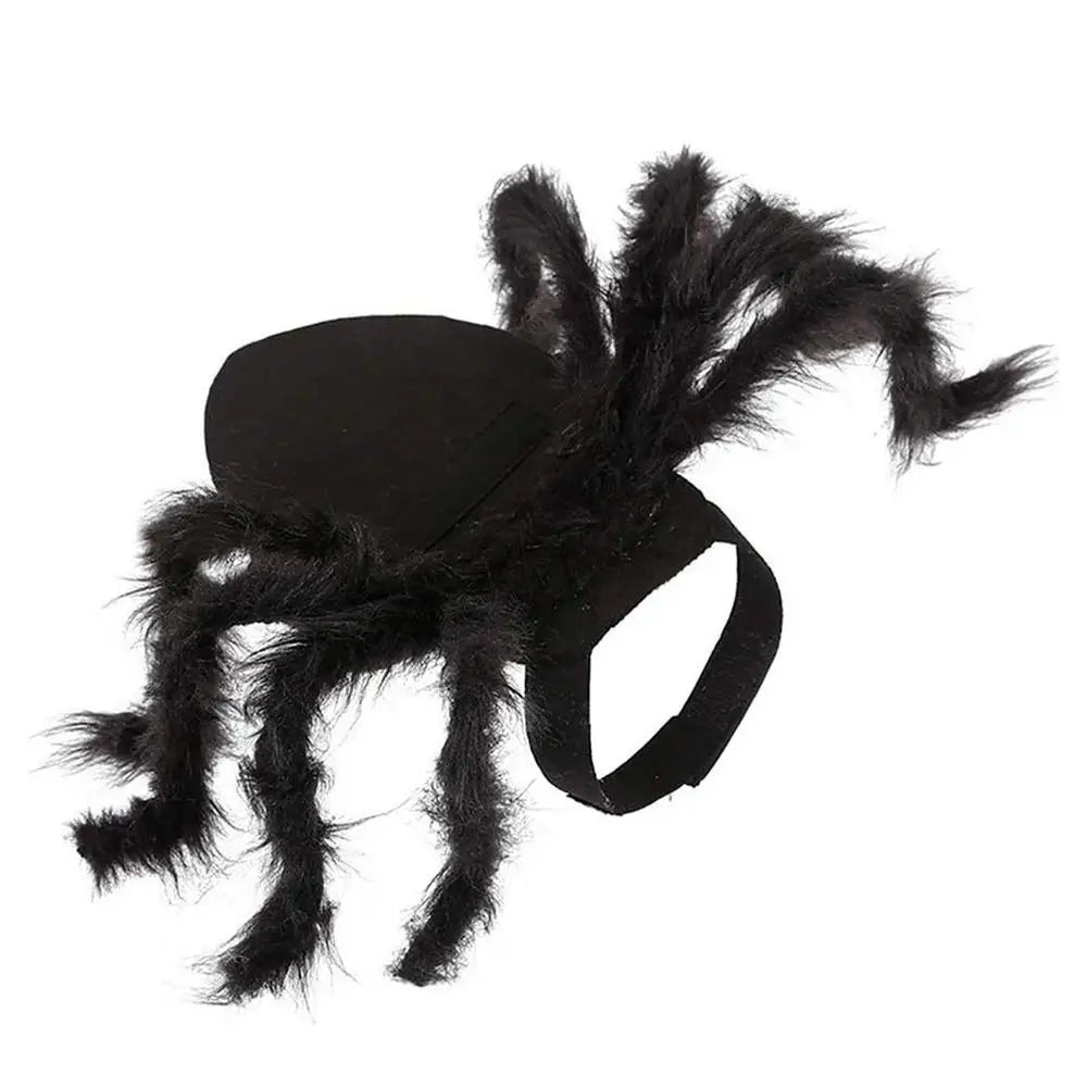 Creepy Crawly Spider Costume