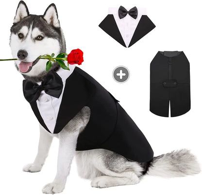 Elegant Dog Tuxedo