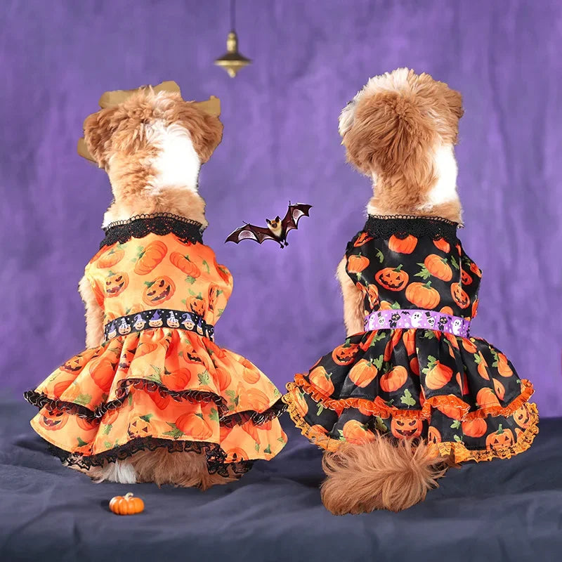 Pumpkin Lace Halloween Pet Dress