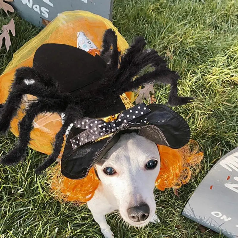 Creepy Crawly Spider Costume