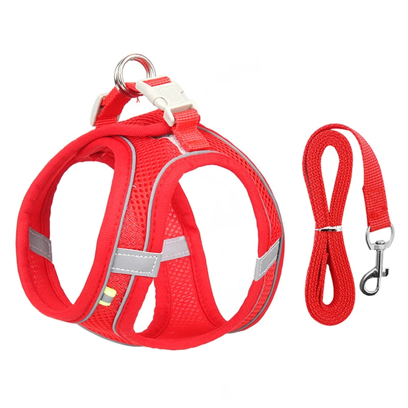 Adjustable, durable pet harness leash for dogs and cats, ideal for both cat and dog walking and training - best seller + quality