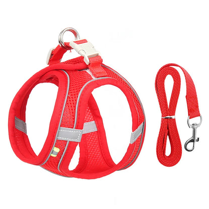 Adjustable, durable pet harness leash for dogs and cats, ideal for both cat and dog walking and training - best seller + quality