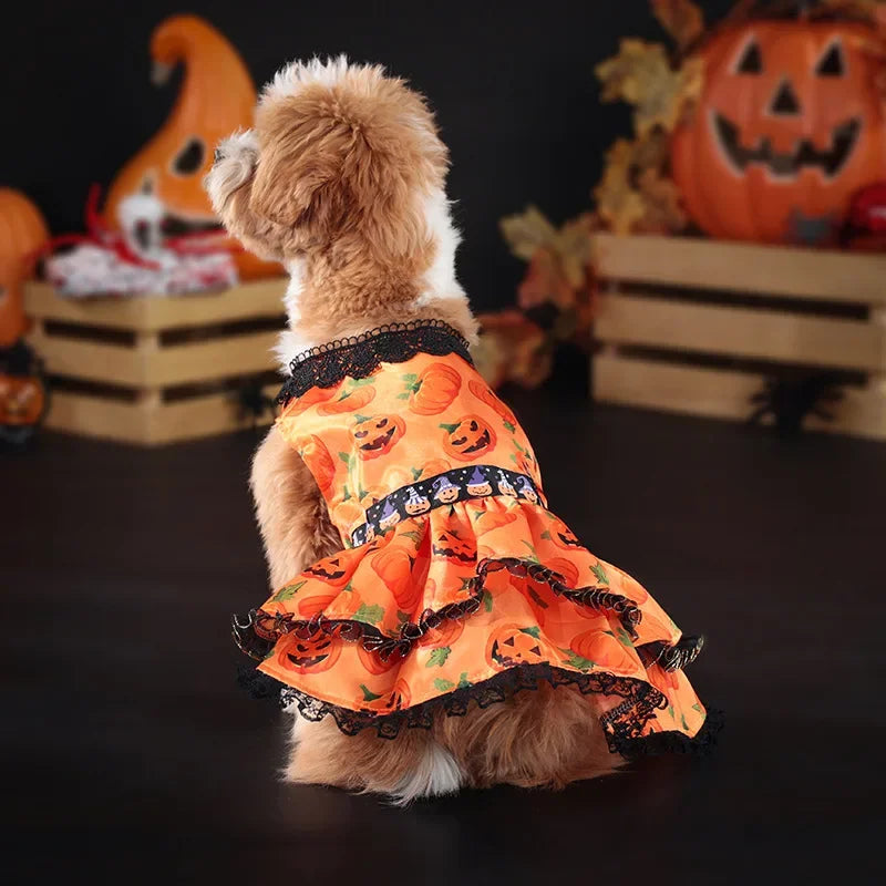 Pumpkin Lace Halloween Pet Dress