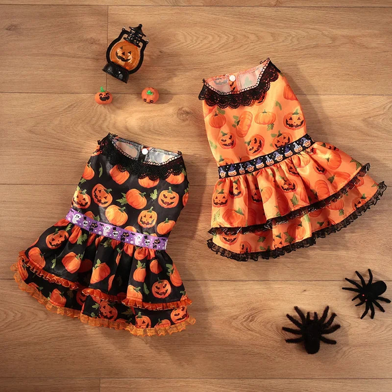 Pumpkin Lace Halloween Pet Dress