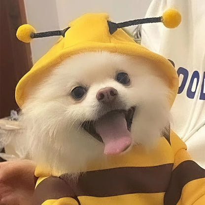 Boo-tiful Bumlebee Pet Hoodie