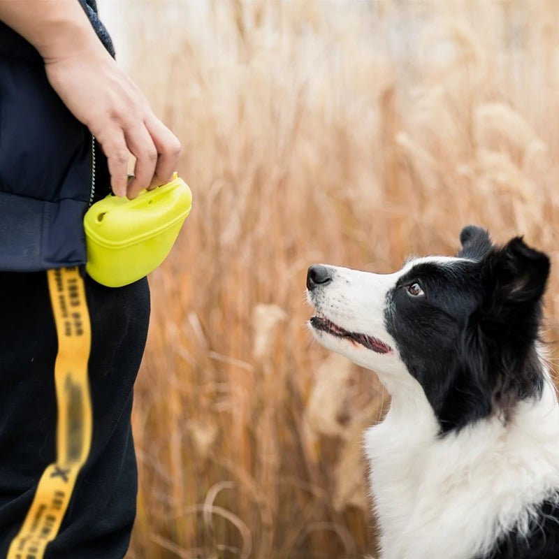 Training Treat Pouch