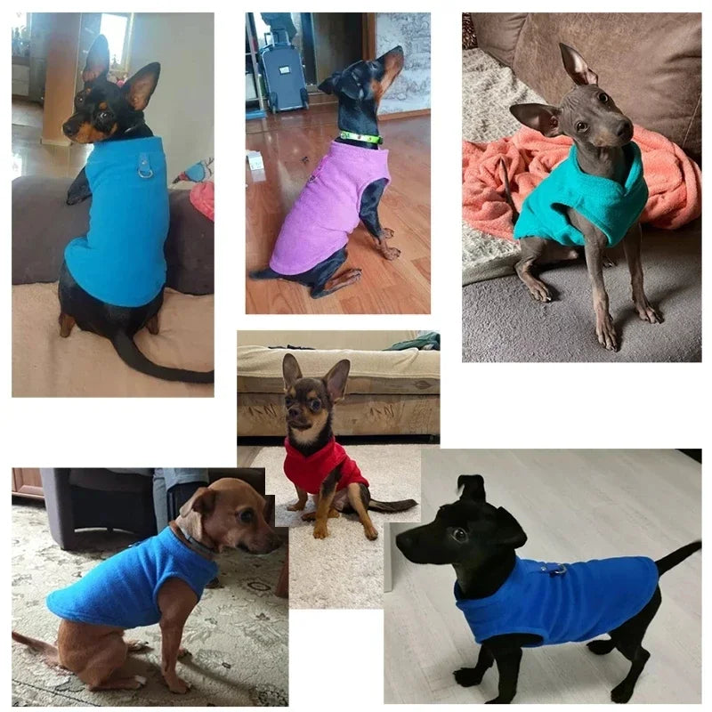 Cozy Fleece Pet Jacket