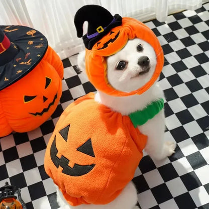 Pumpkin Lantern Pet Costume