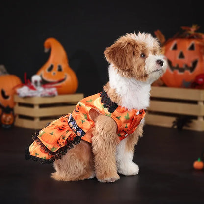 Pumpkin Lace Halloween Pet Dress