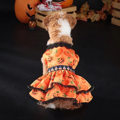 Pumpkin Lace Halloween Pet Dress