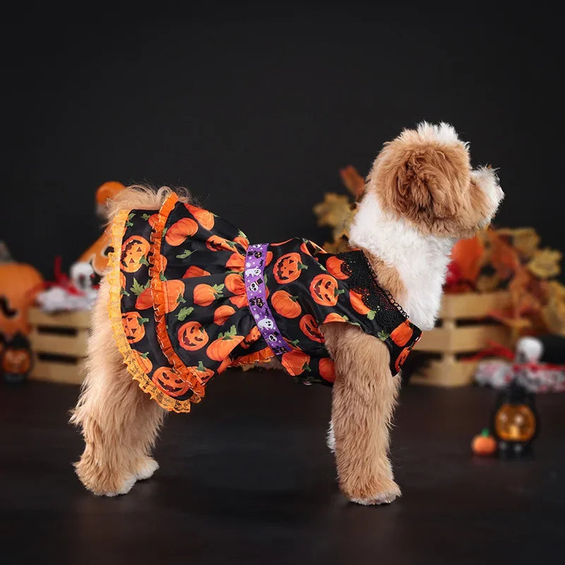 Pumpkin Lace Halloween Pet Dress