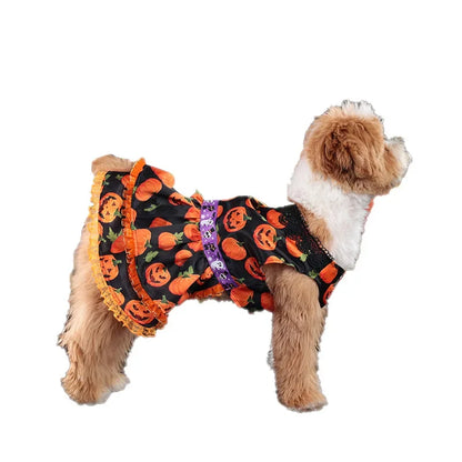 Pumpkin Lace Halloween Pet Dress