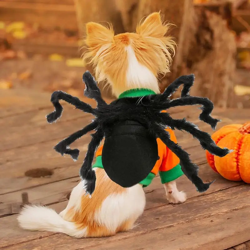 Creepy Crawly Spider Costume