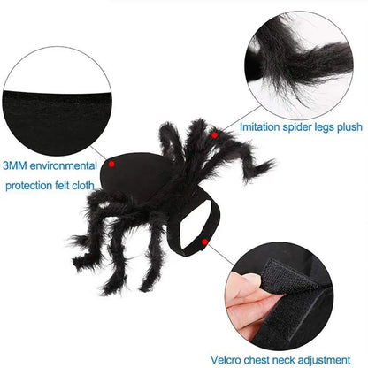 Creepy Crawly Spider Costume