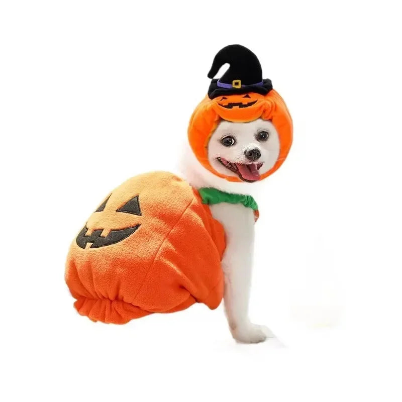 Pumpkin Lantern Pet Costume