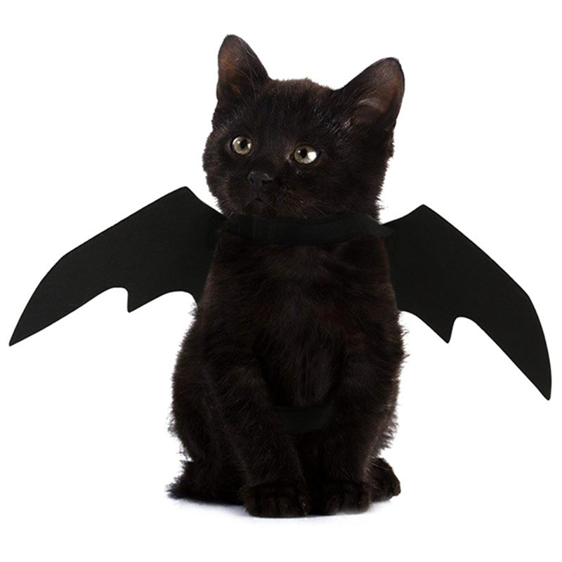 Bat Wings Pet Costume