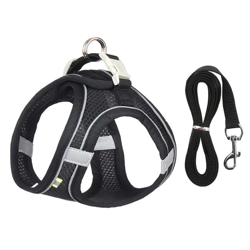 Adjustable, durable pet harness leash for dogs and cats, ideal for both cat and dog walking and training - best seller + quality