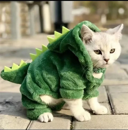 Dinosaur Cosplay Pet Hoodie