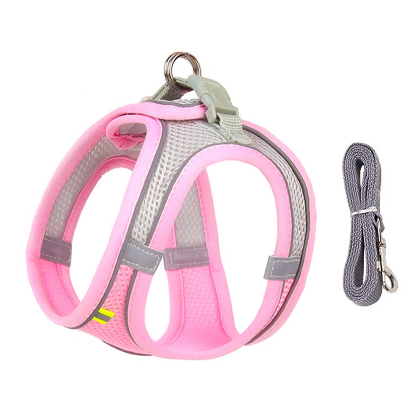 Adjustable, durable pet harness leash for dogs and cats, ideal for both cat and dog walking and training - best seller + quality