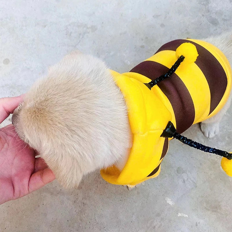 Boo-tiful Bumlebee Pet Hoodie