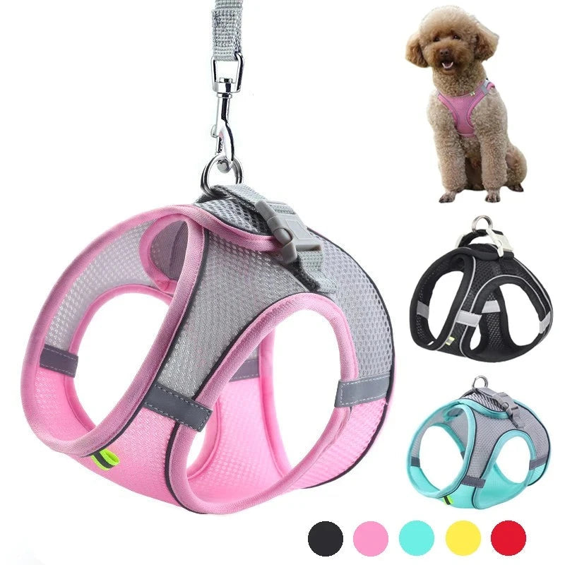 Adjustable, durable pet harness leash for dogs and cats, ideal for both cat and dog walking and training - best seller + quality