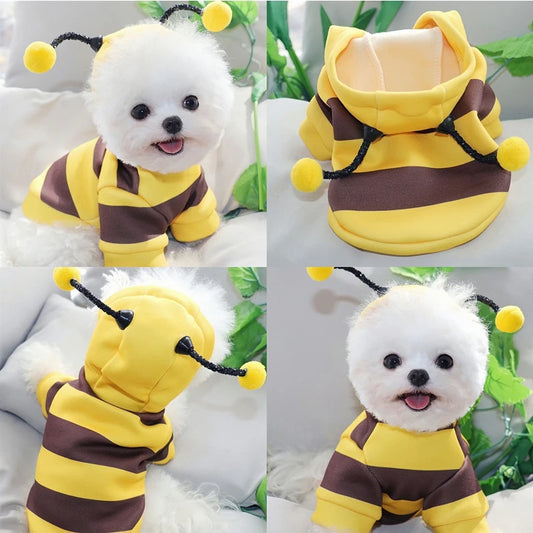 Boo-tiful Bumlebee Pet Hoodie