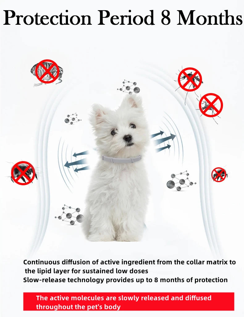 Anti-flea and tick pet collar for cats and dogs, effective for both your cat and dog.