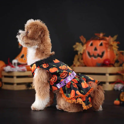 Pumpkin Lace Halloween Pet Dress