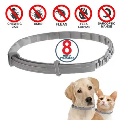 Anti flea and tick pet collar for cats and dogs, effective for both your cat and dog.