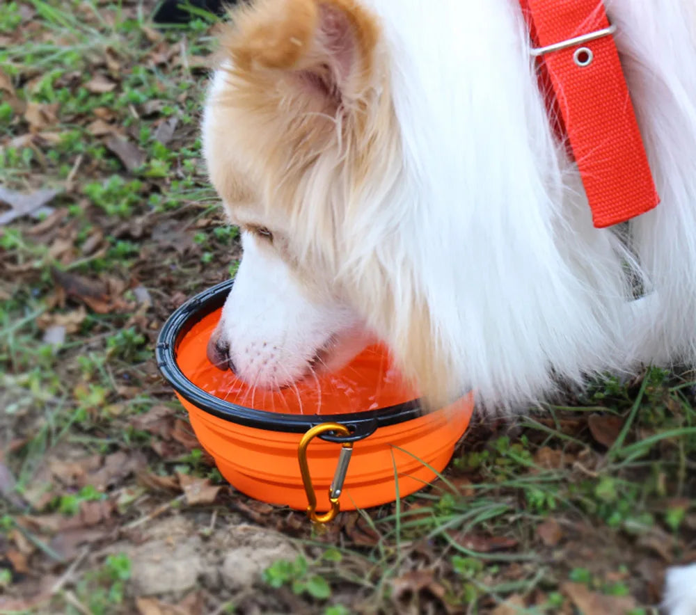 Collapsible Travel Pet Bowl