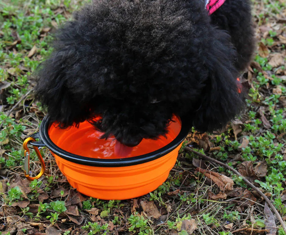 Collapsible Travel Pet Bowl