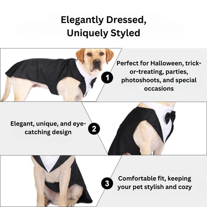 Elegant Dog Tuxedo